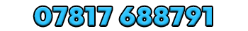 07817688791